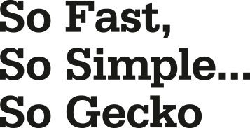 gecko slogan